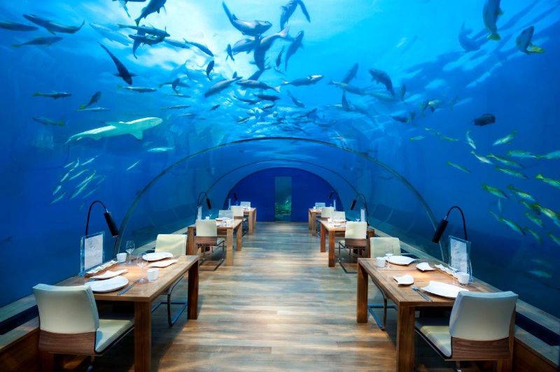 Inspire Your Senses Inside The Ithaa Undersea Restaurant