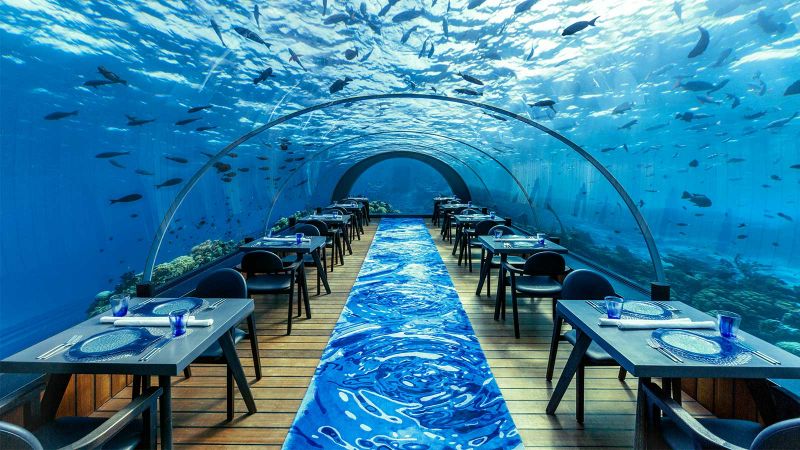 Inspire Your Senses Inside The Ithaa Undersea Restaurant
