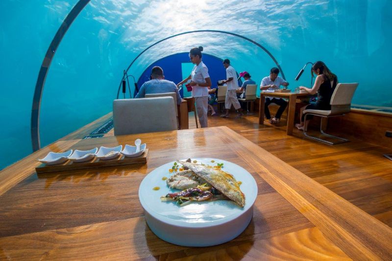 Inspire Your Senses Inside The Ithaa Undersea Restaurant