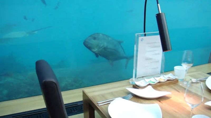 Inspire Your Senses Inside The Ithaa Undersea Restaurant