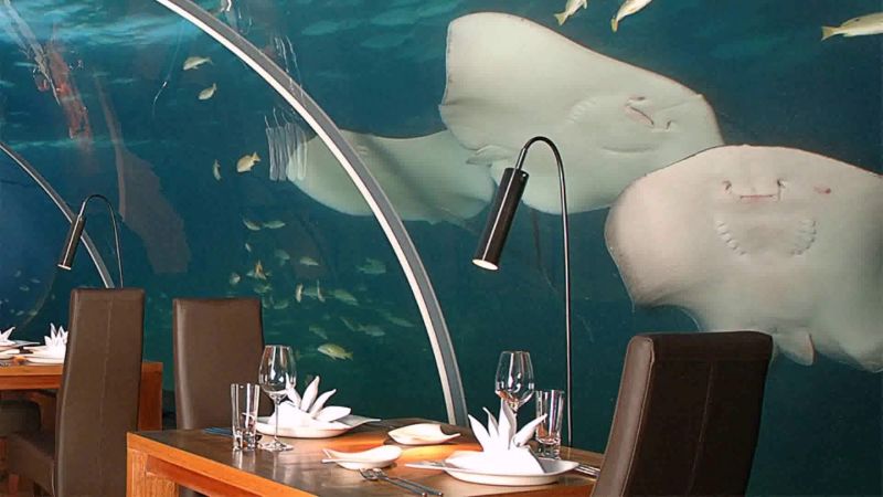 Inspire Your Senses Inside The Ithaa Undersea Restaurant